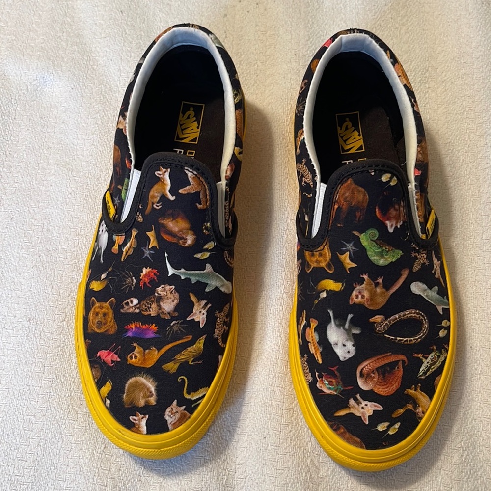 Vans